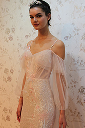 2025 Daisy Model  